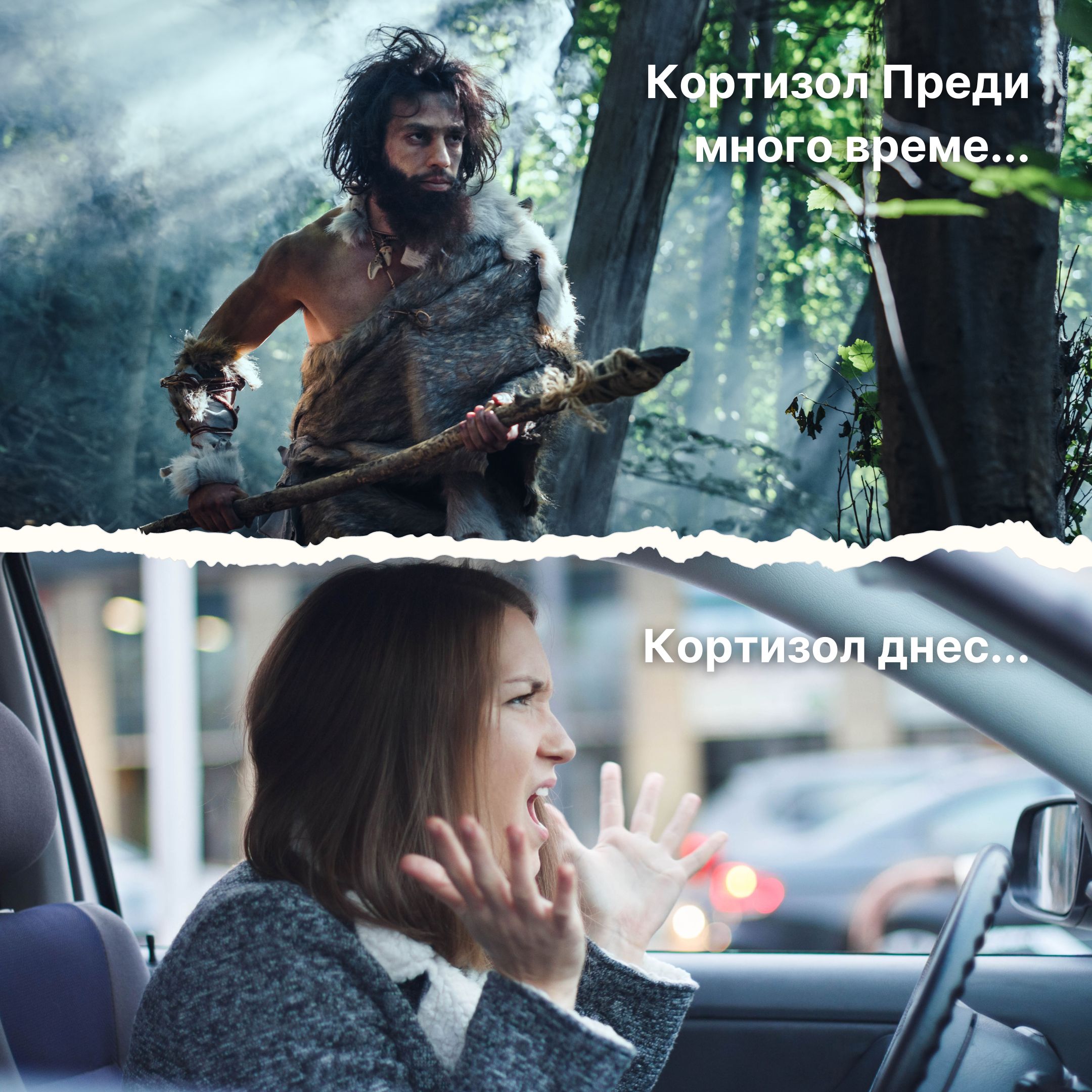 (Bulharština) (kopie)
